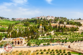 Mount Olives, Jerusalem